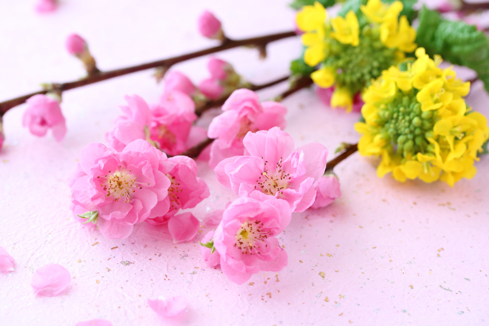 春のお花